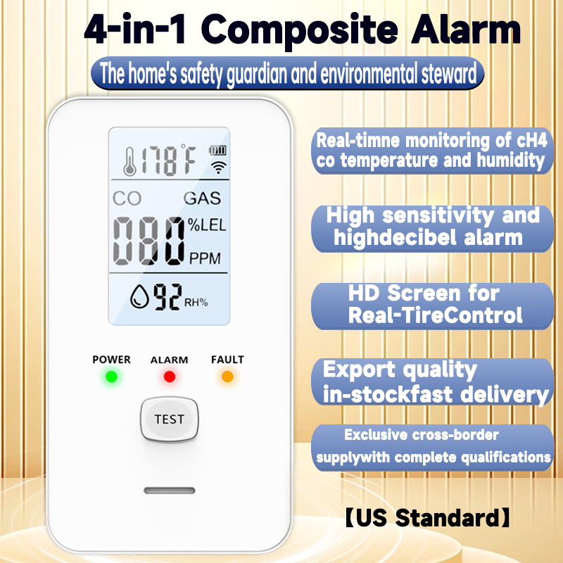 4 in 1 가스 감지기 일산화탄소 경보기 메탄 센서  - Co Detector Plug 리뷰 및 가격