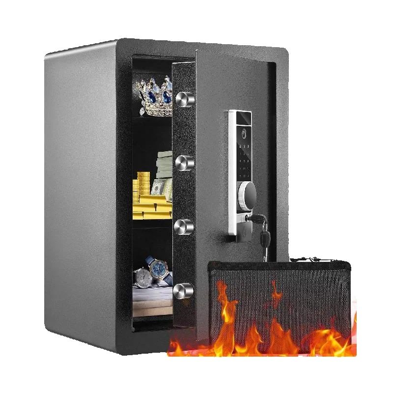 SucceBuy 전기 금고 2.2/1.8 입방피트 지문 - Fire Safe Document 리뷰 및 가격